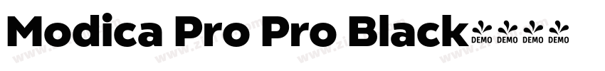 Modica Pro Pro Black字体转换